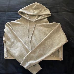 Gray Cropped Urban Outfitters Hoodie